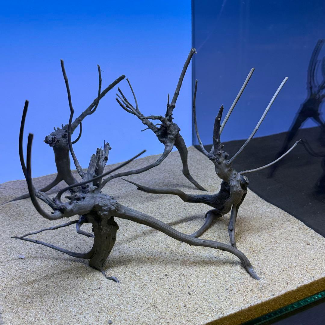 MDW-7277 ブランチウッド(ブラック)4本セット 枝流木 アクアリウム