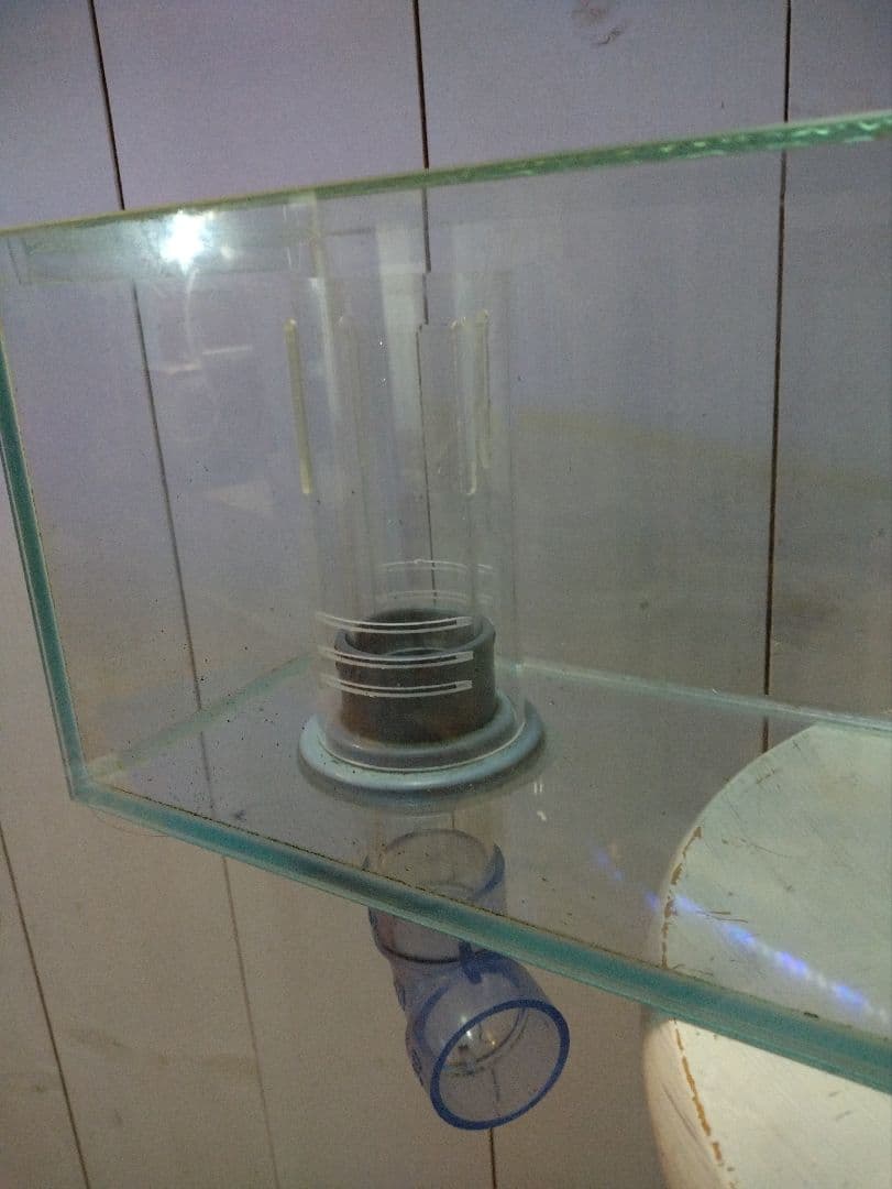 今週限定値下げ】60センチオーバーフローガラス水槽 とエーハイム2213