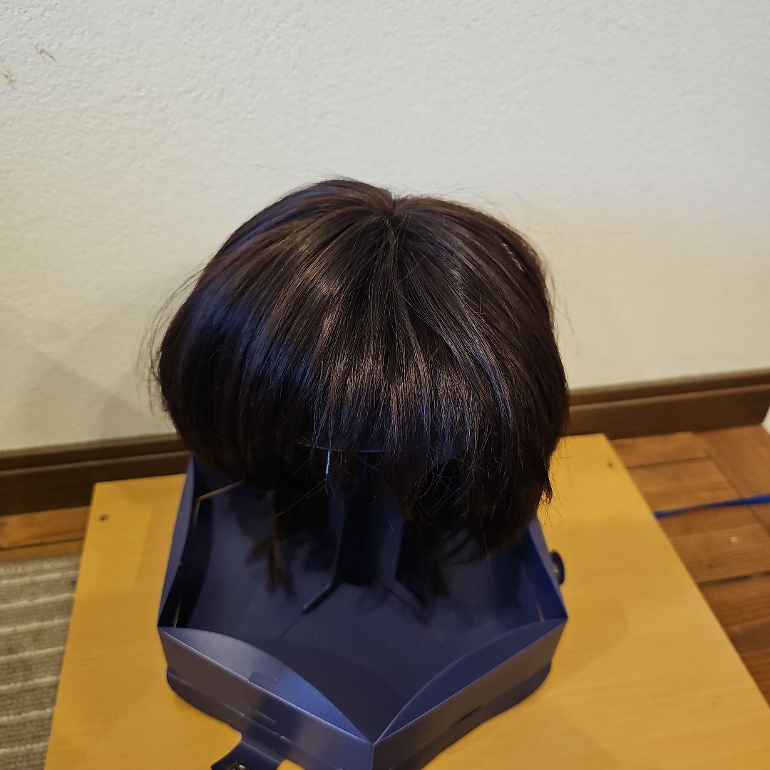 限定値下げ!! 美品!!フォンテーヌ フルウィッグ VR04 R141