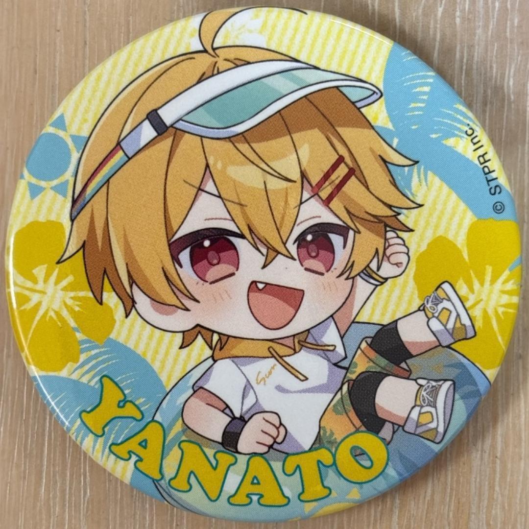 やなと Summer ver.SD すにすて 缶バッジ 10点