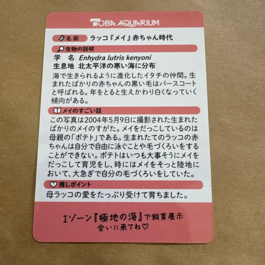 最安値‼️ 鳥羽水族館　コレクションカード　70周年記念　ラッコ　メイ　レア