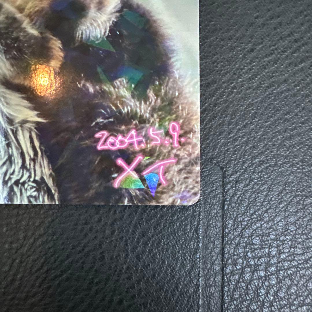 最安値‼️ 鳥羽水族館　コレクションカード　70周年記念　ラッコ　メイ　レア