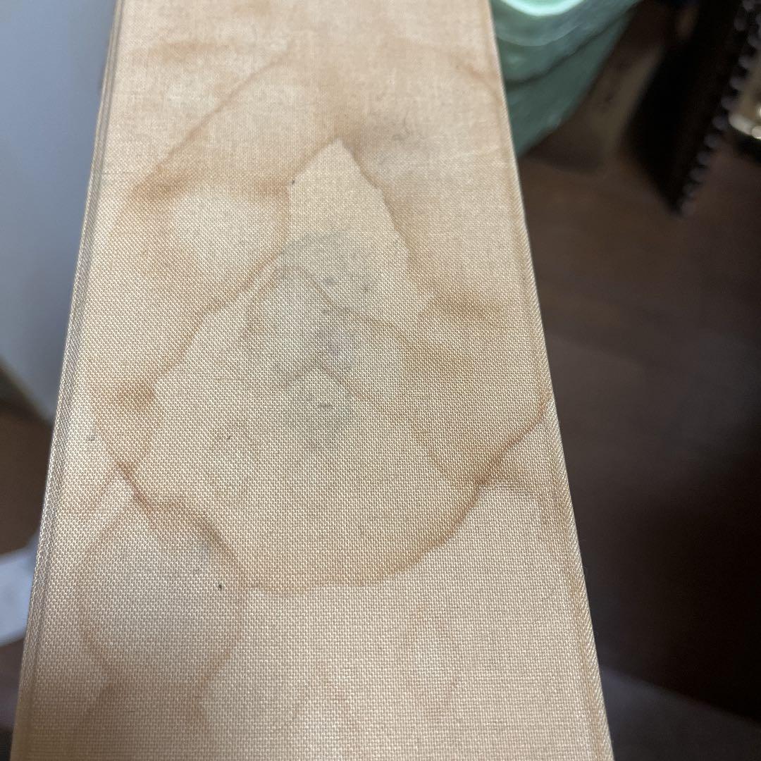 磯部晶子 朝の光 f6油絵