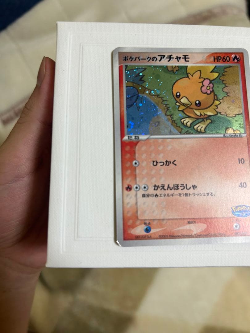 ポケパークのアチャモ