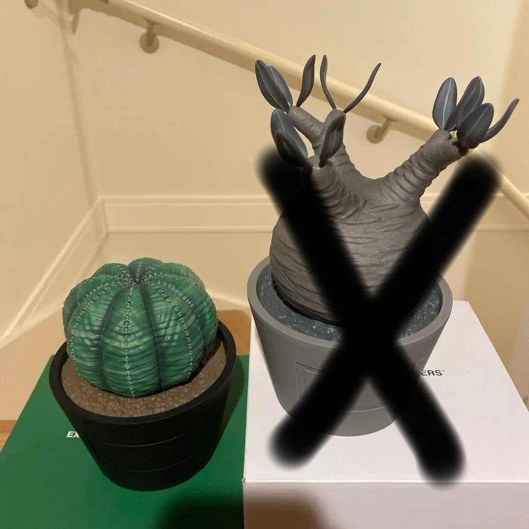 ボタナイズ メディコムトイ フィギュアbotanize 初期 VCD 1st