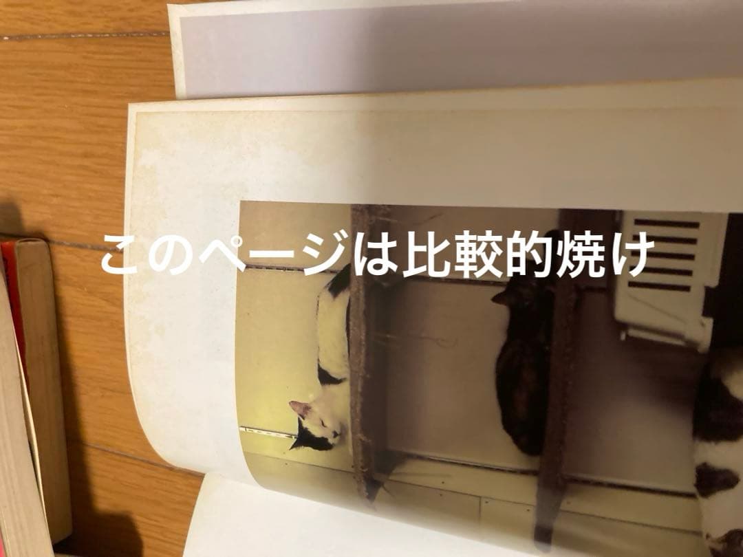 ドリームジェネレーション　アルフィー物語 1〜7、9巻セット &ネコロジー