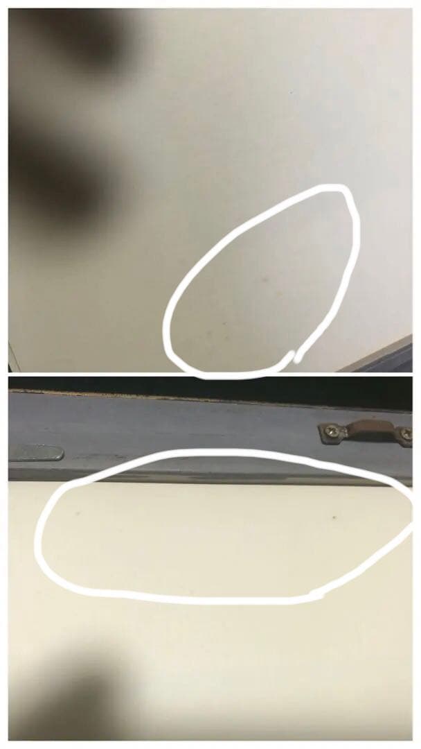 山下清　傑作コレクション十選　こころの軌跡　高級複製画集　1000個限定品　絵画