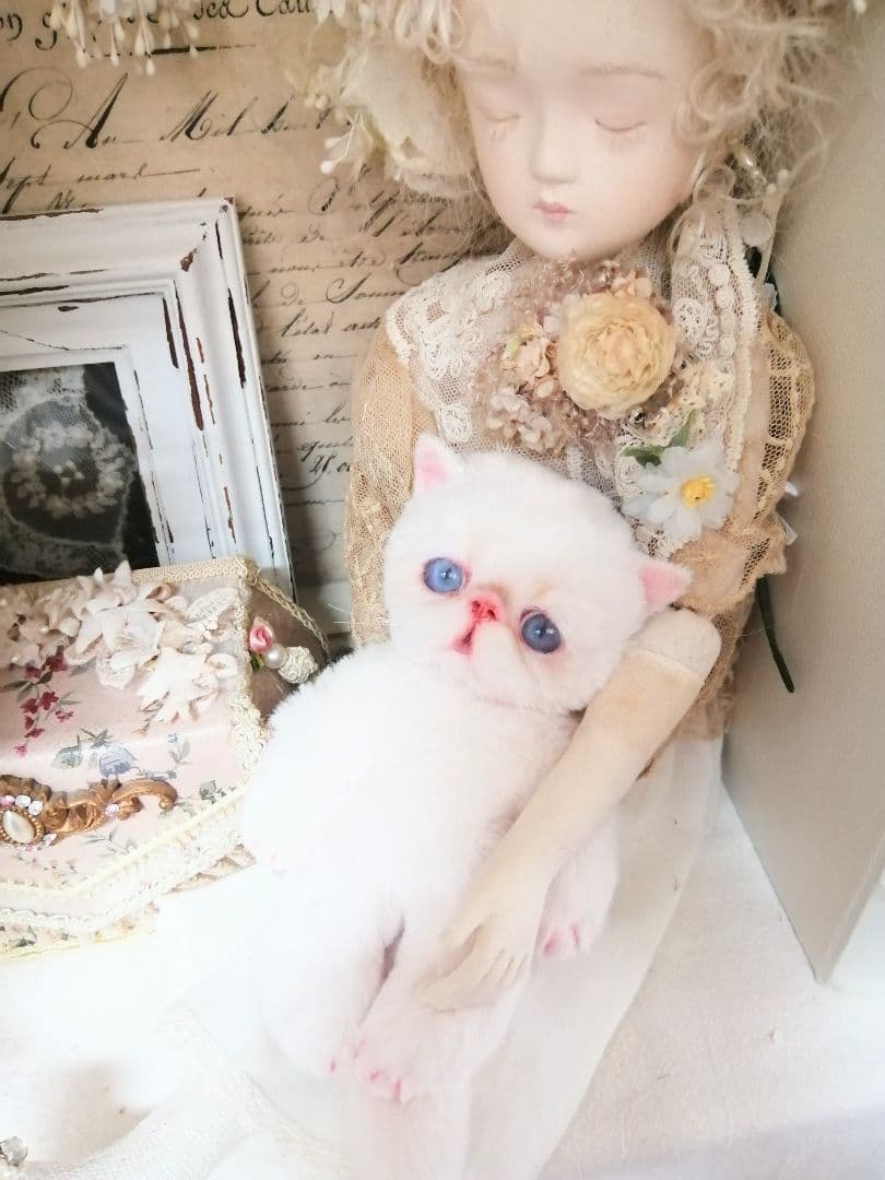 ポッケにゃん♡エキゾチック子猫ちゃん♡アートドール♡ぬいぐるみ