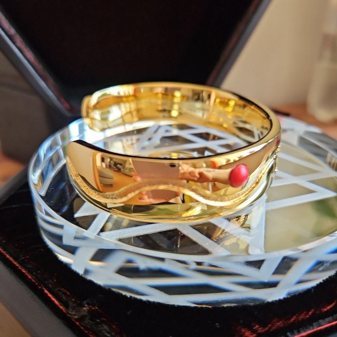 新リンパ療法 ラジャスリング 島貫英之※総額200万円相当 新リンパ療法