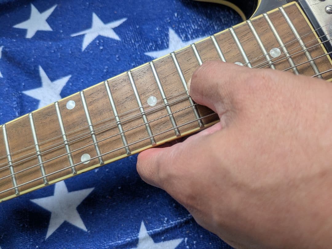 フェルナンデス／バーニー RSA-60 セミアコ