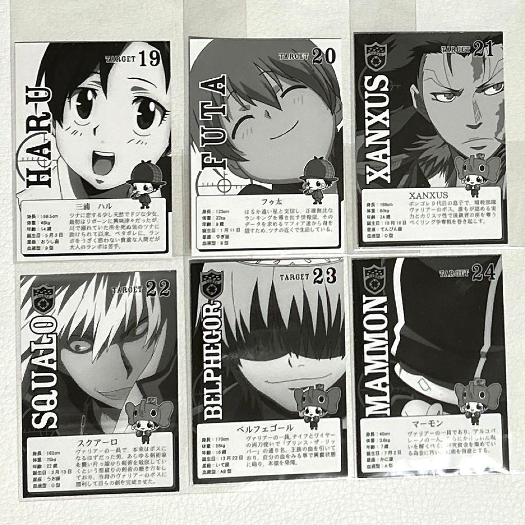 家庭教師ヒットマンリボーン キャラクターカード 24枚