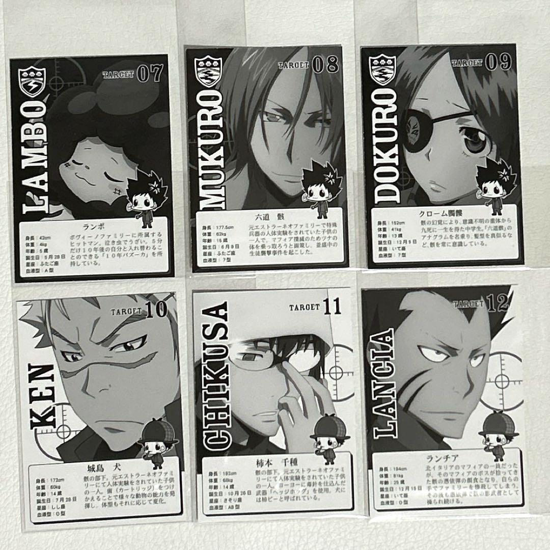 家庭教師ヒットマンリボーン キャラクターカード 24枚