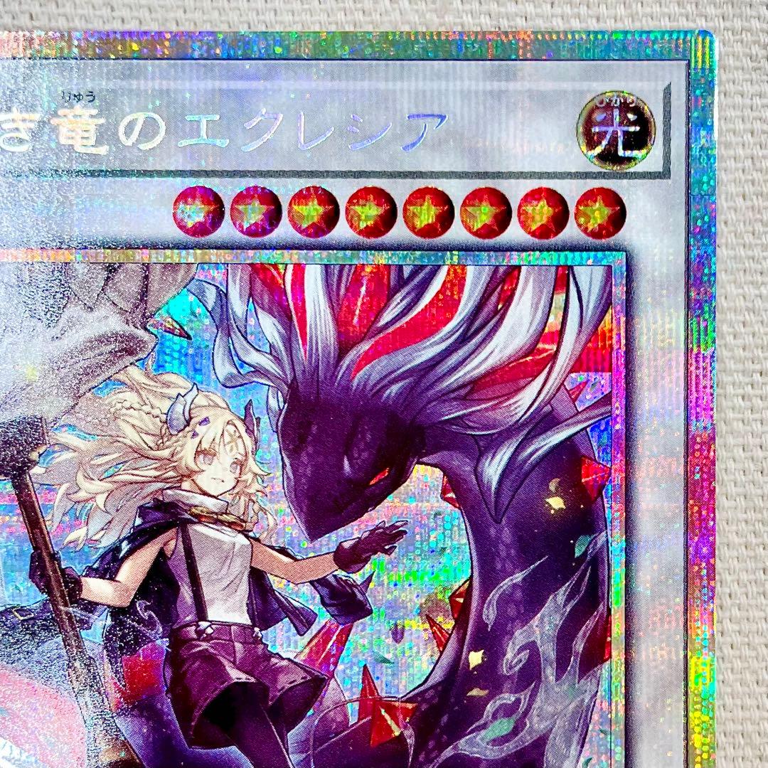 【遊戯王】『黒き竜のエクレシア』【プリシク！】