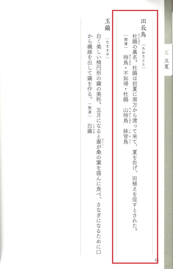 森寛斎自筆『月に杜鵑図』掛軸（極箱）