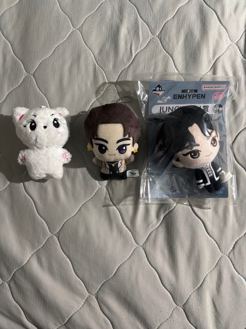 ジョンウォン グッズ まとめ売り