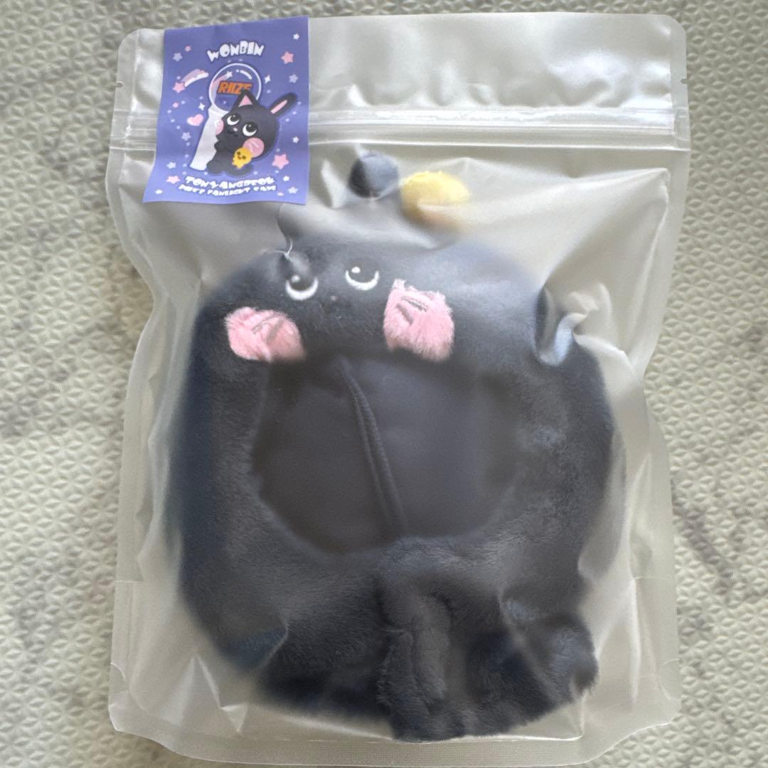 RIIZE WONBIN ウォンビン グッズ ペンライトカバー ドール アンコン