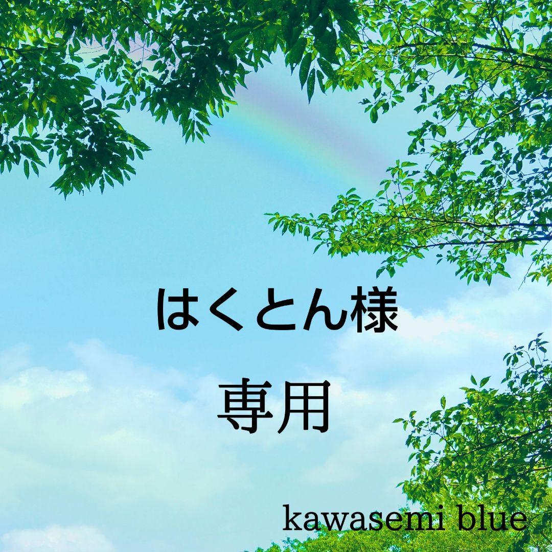 はくとん No.1273、1276、1279、1281、1283、1287 MAXDuino BLACK - ZX SPECTRUM 16K/48K/128K - DIGITAL TAPE DECK | eBay