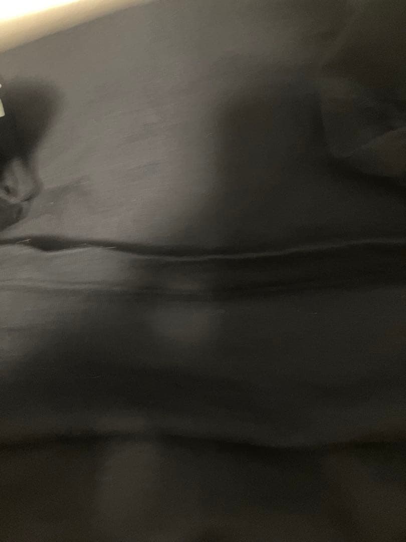 80s〜90s \"Powell Peralta\" L/S