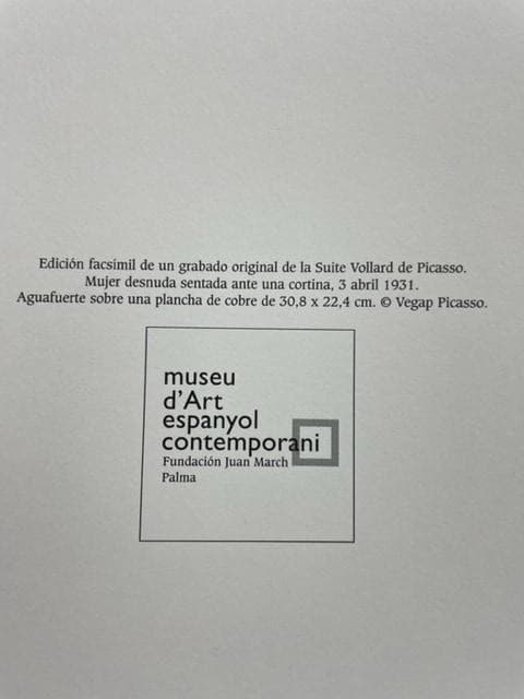 額装品/インテリア//Malaga Mujer 1931 パブロピカソ/ポスター