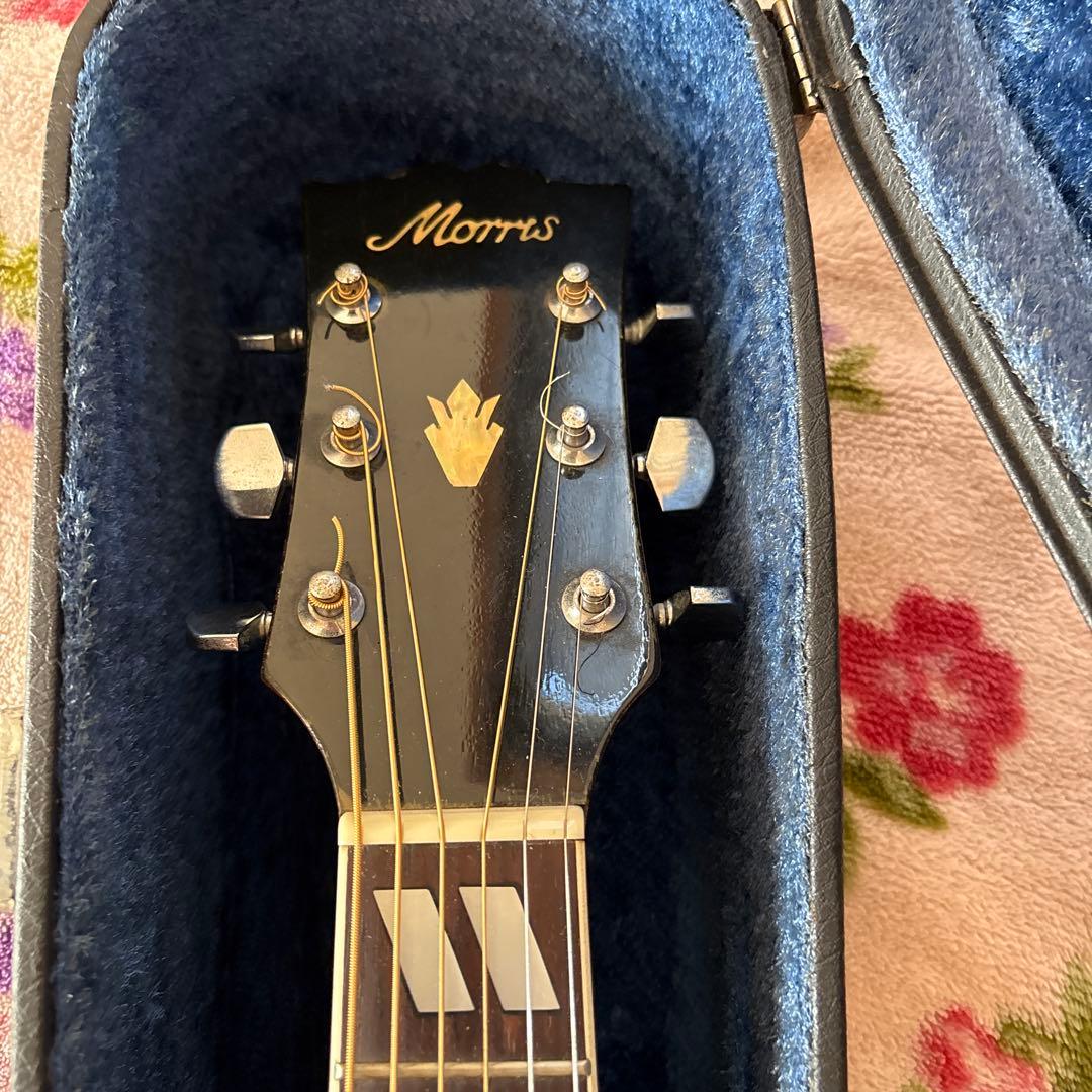 モーリス ダブモデル➕ハードケース