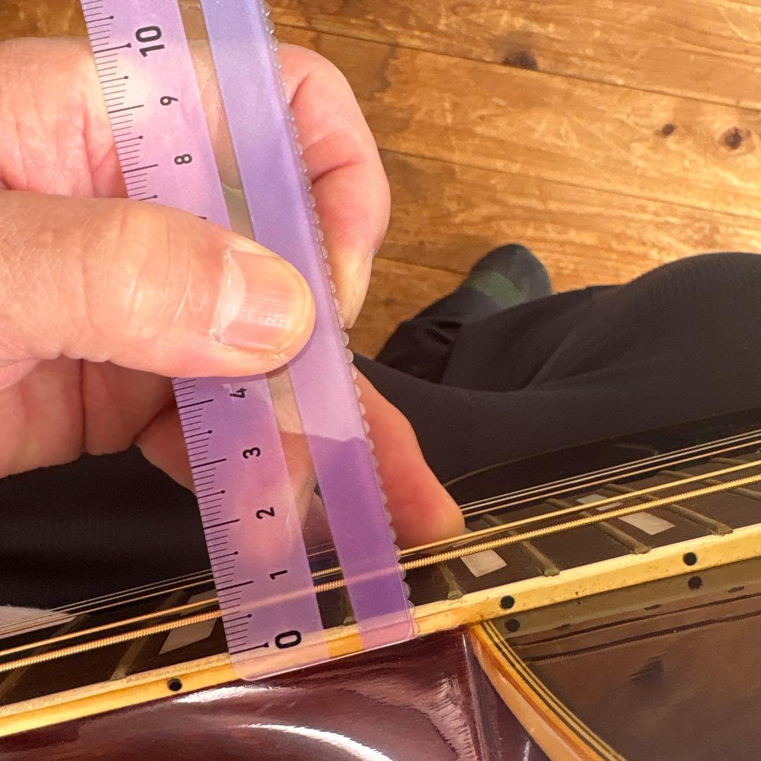 モーリス ダブモデル➕ハードケース