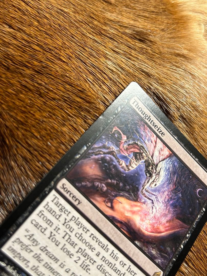 MTG 思考囲い 4枚セット 英語 初版 LRW