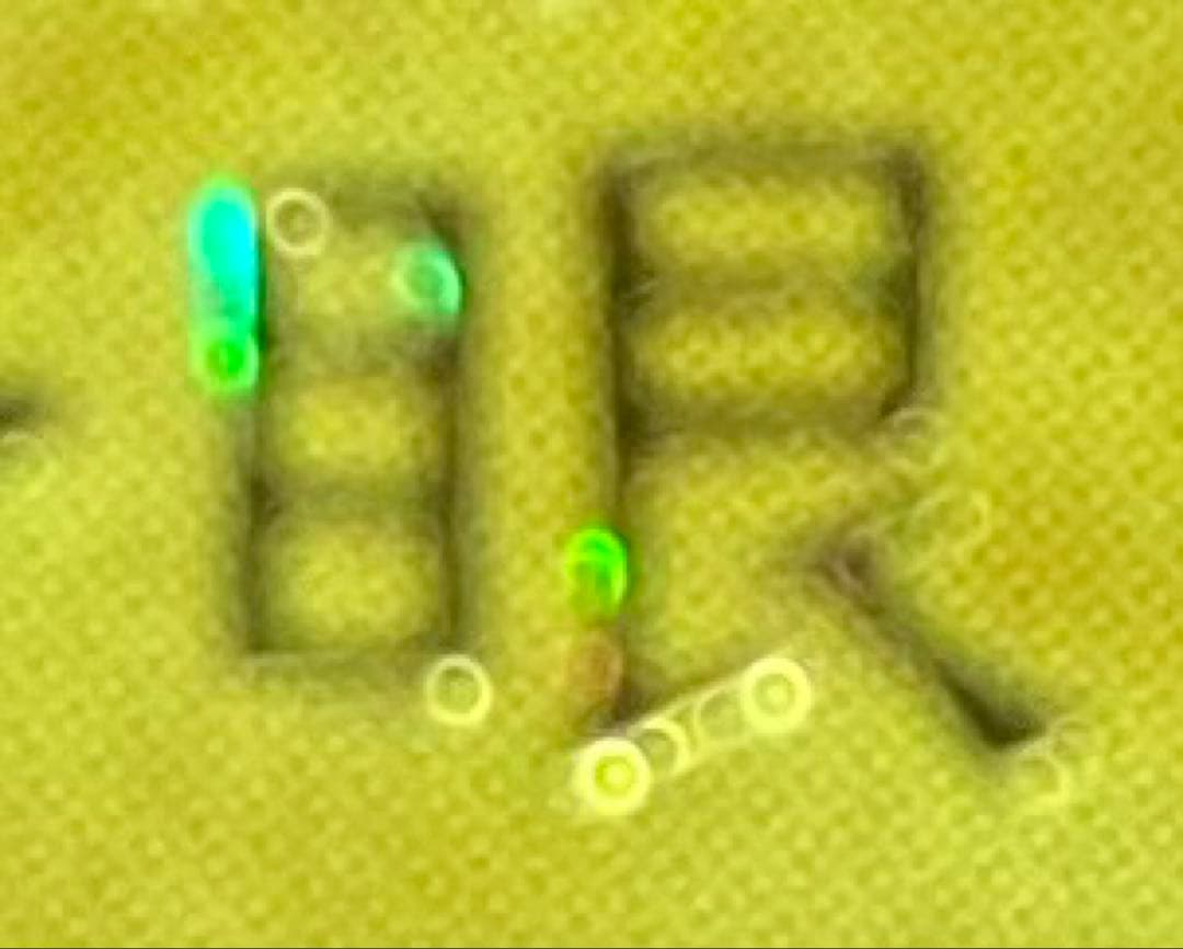 ⭐︎エラー：ダイヤモンドカット⭐︎遊戯王 青眼の白龍 初期ブル コレクション出品