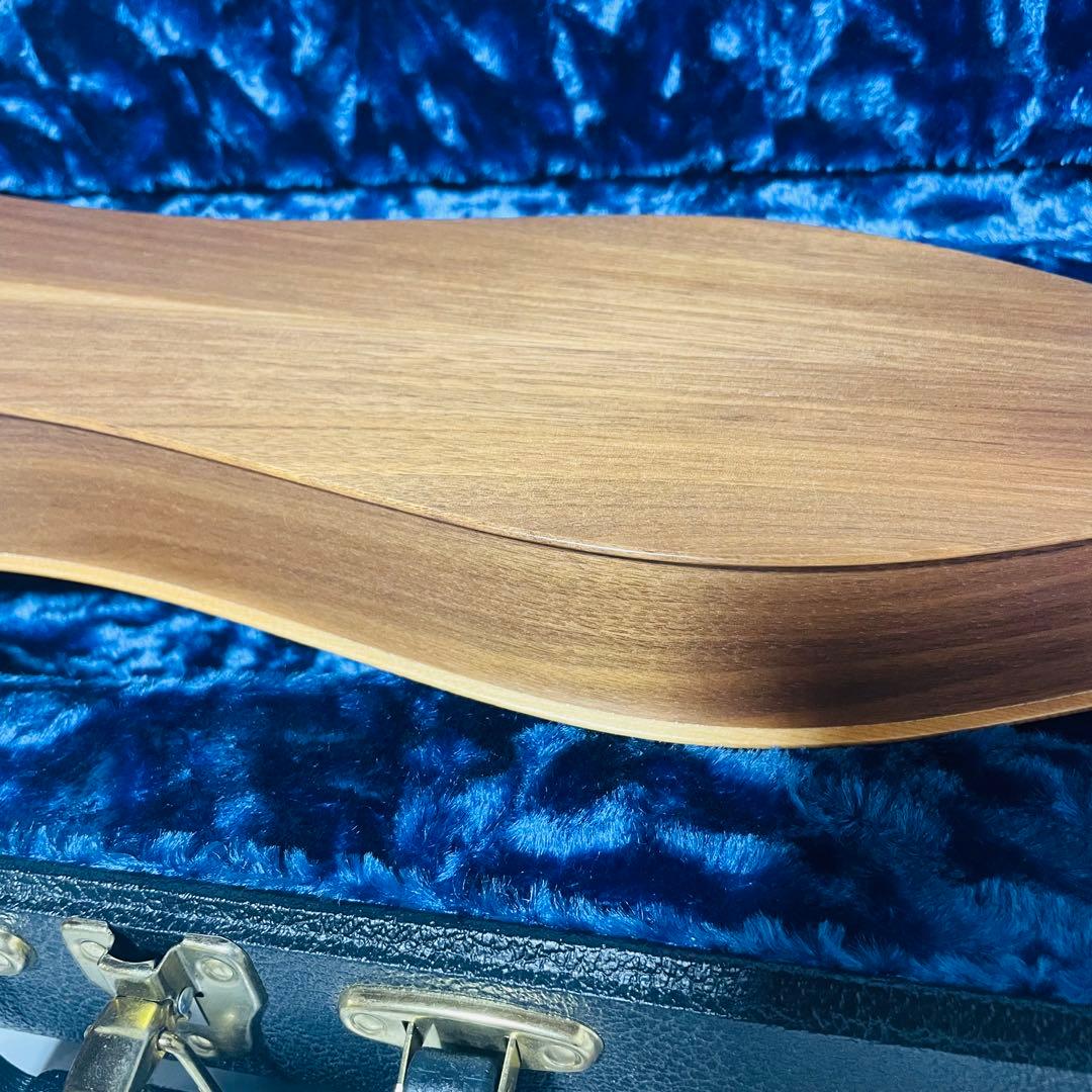 【美品】BLUE LION マウンテンダルシマー　JRW ハードケース付き