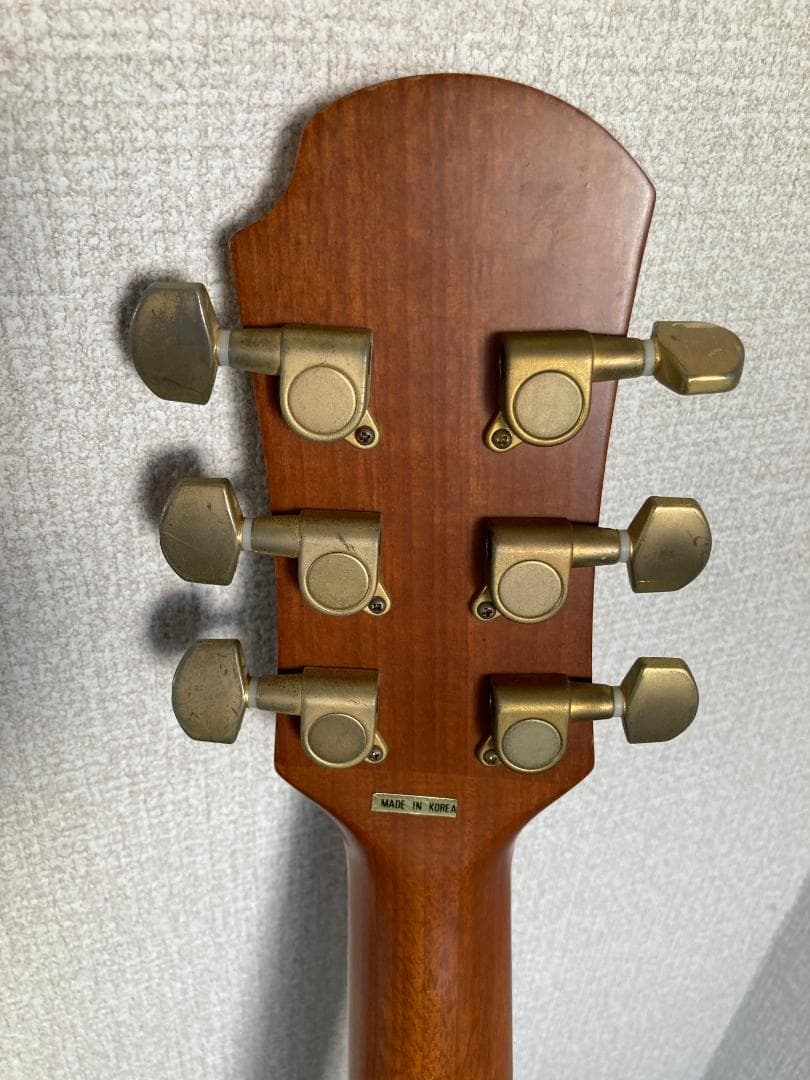 Pro Martin CUSTOM エレアコ EA 450　虎杢