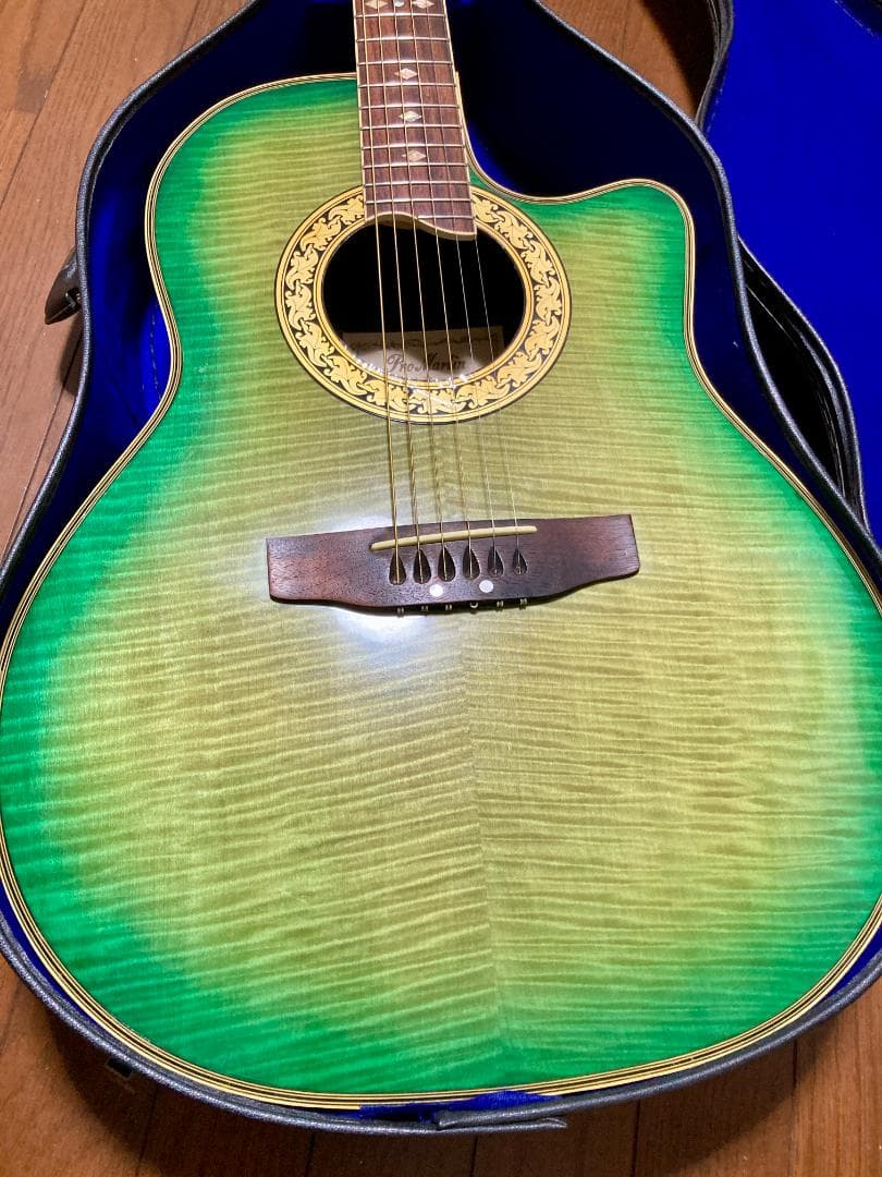 Pro Martin CUSTOM エレアコ EA 450　虎杢