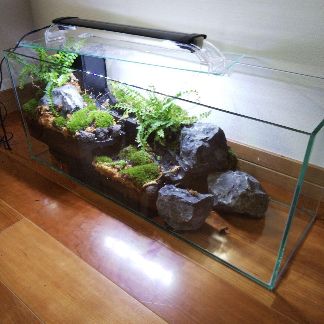 大自然 大型60 アクアテラリウム 完成品 水槽 大自然 大型60 アクア