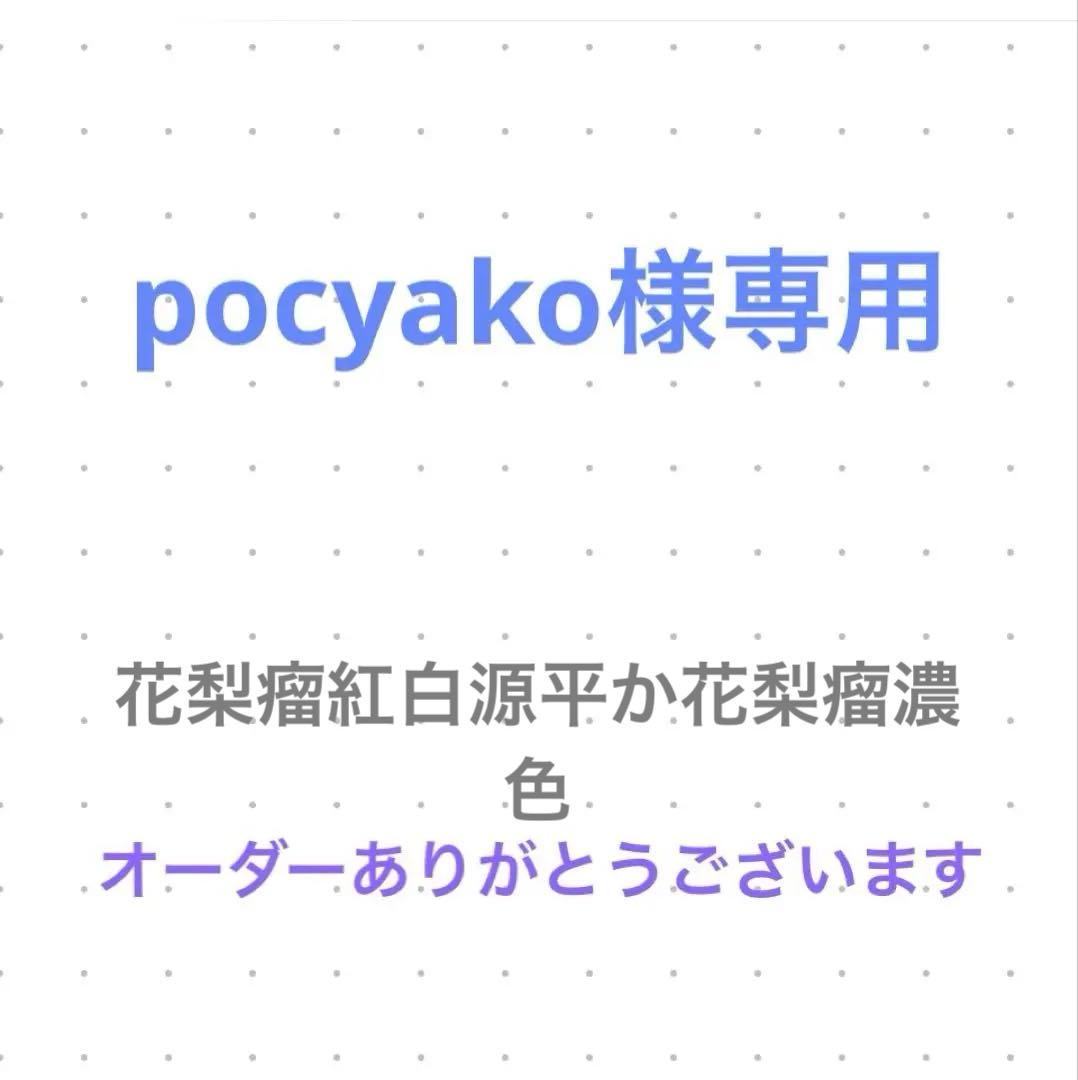 pocyako　オーダー
