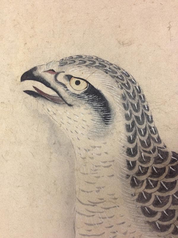 ☆古美術！ 小野雲鵬 松鷹図