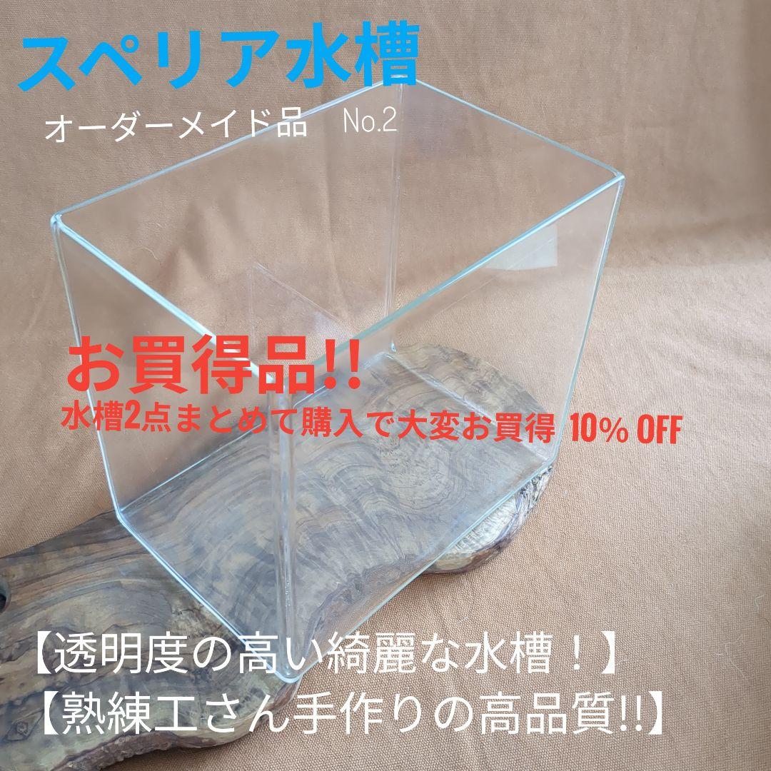 【高品質・透明度の高い　オーダーメイドのスペリア水槽　No.2 】 高品質・透明度の高い オーダーメイドのスペリア水槽 No.2 】 ADA