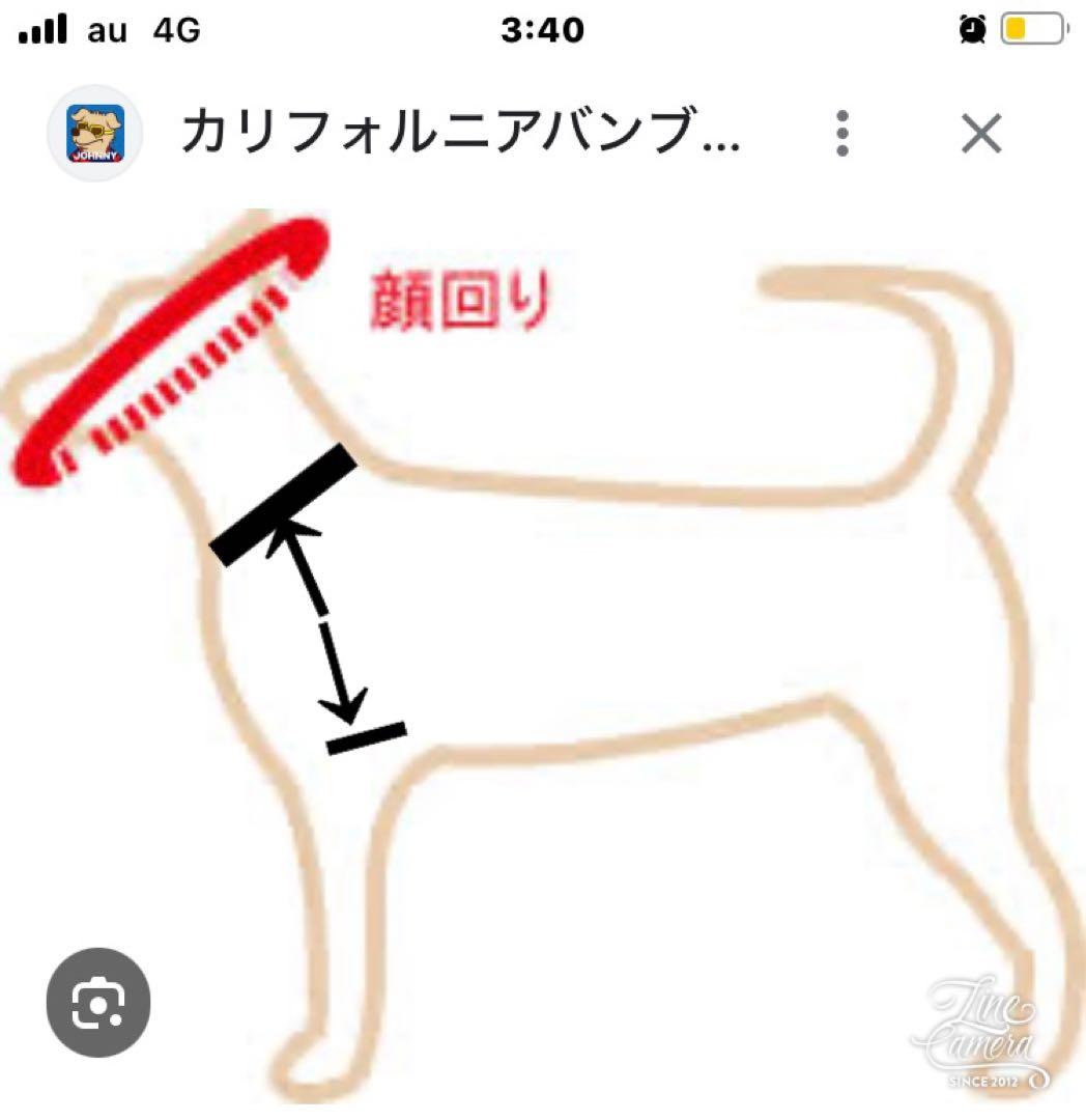 B385.pon2pan2☆オーダー犬☆2ウェイ☆お引きずりお着物