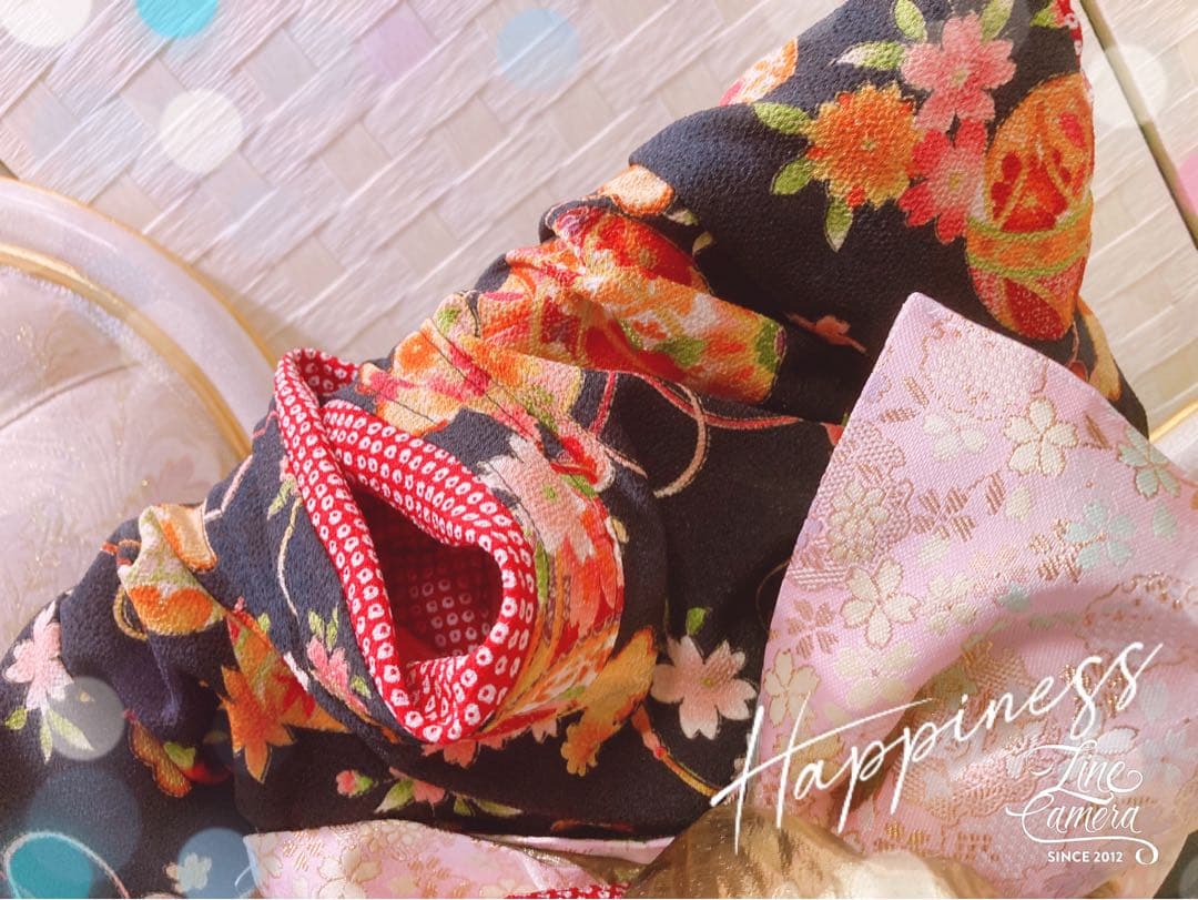 B385.pon2pan2☆オーダー犬☆2ウェイ☆お引きずりお着物