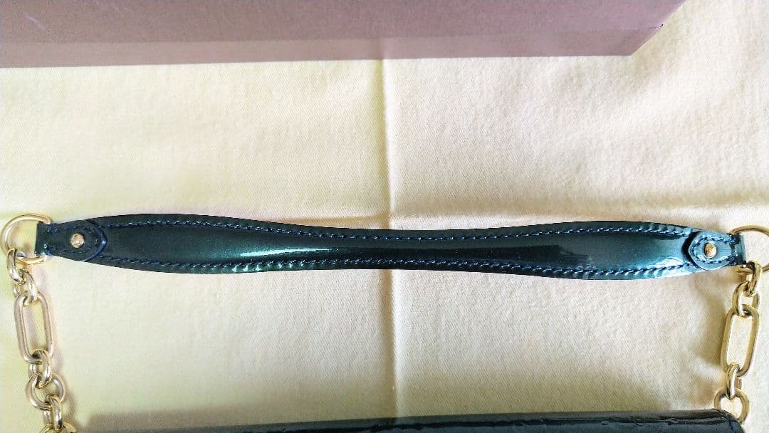 ルイヴィトン ヴェルニ サンセットブルーバード アラマント 保存袋&箱付き