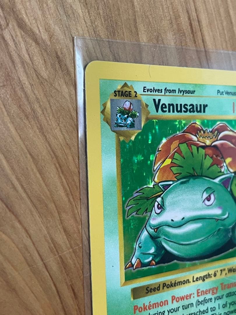 フシギバナ 英語版 旧裏 Venusaur shadow less