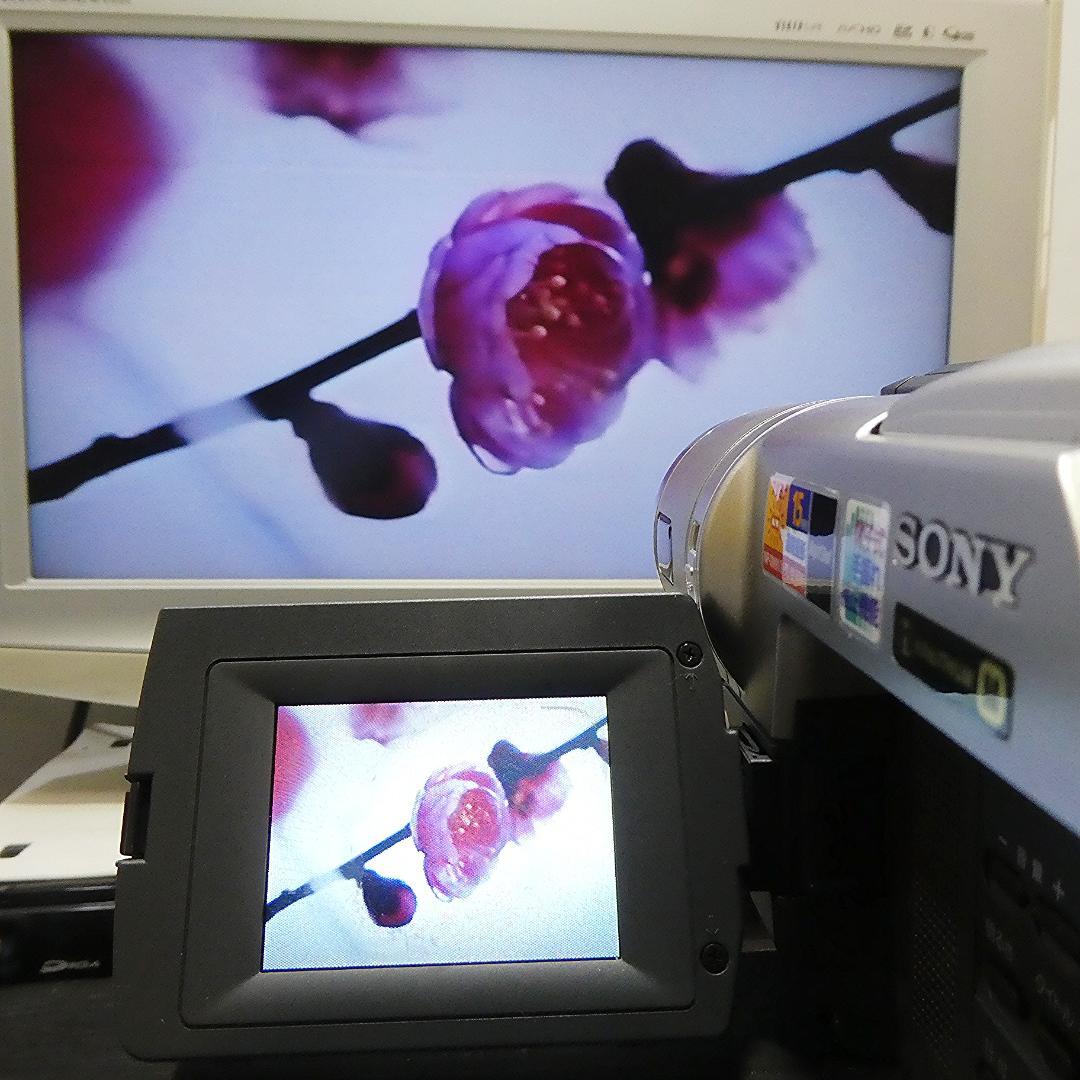 動作良好 ソニー CCD-TRV96　 Video.Hi8デジタルビデオカメラ