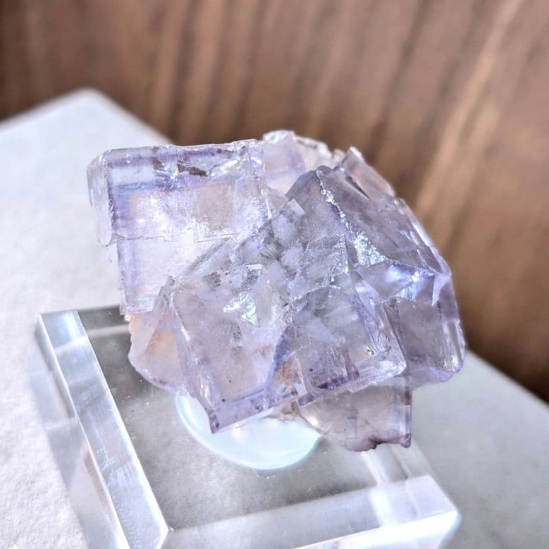 エミリオ鉱山 フローライト | 鉱物標本,ハ行,フローライト/蛍石,フロー