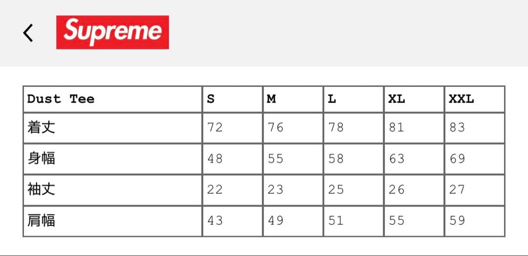 トップス Supreme Dust Tee \"Black\" L