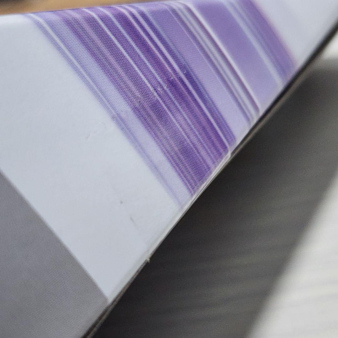 新品 未開封】ワイバーンホバー 2-80GN DMMくじA賞 ベイブレードX