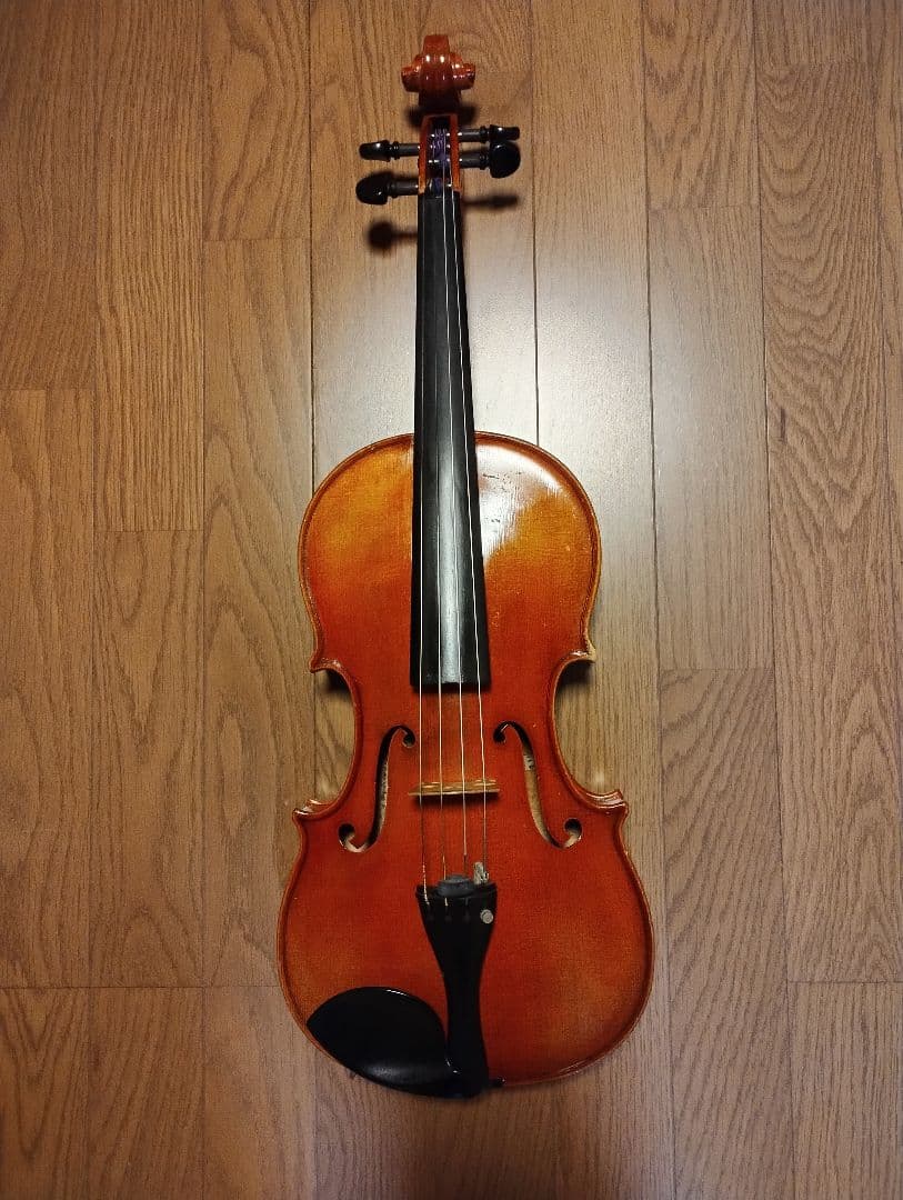 カール・ヘフナー　ヴィオラ 本体 ＋いろいろセット