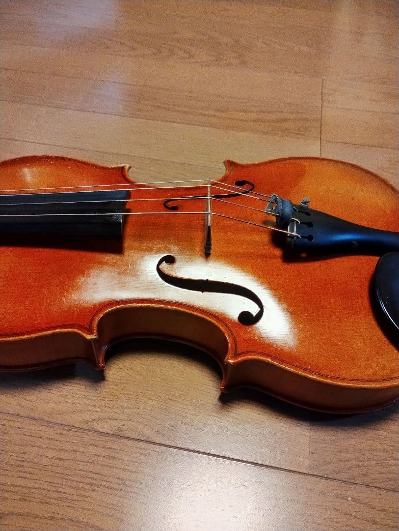 カール・ヘフナー　ヴィオラ 本体 ＋いろいろセット