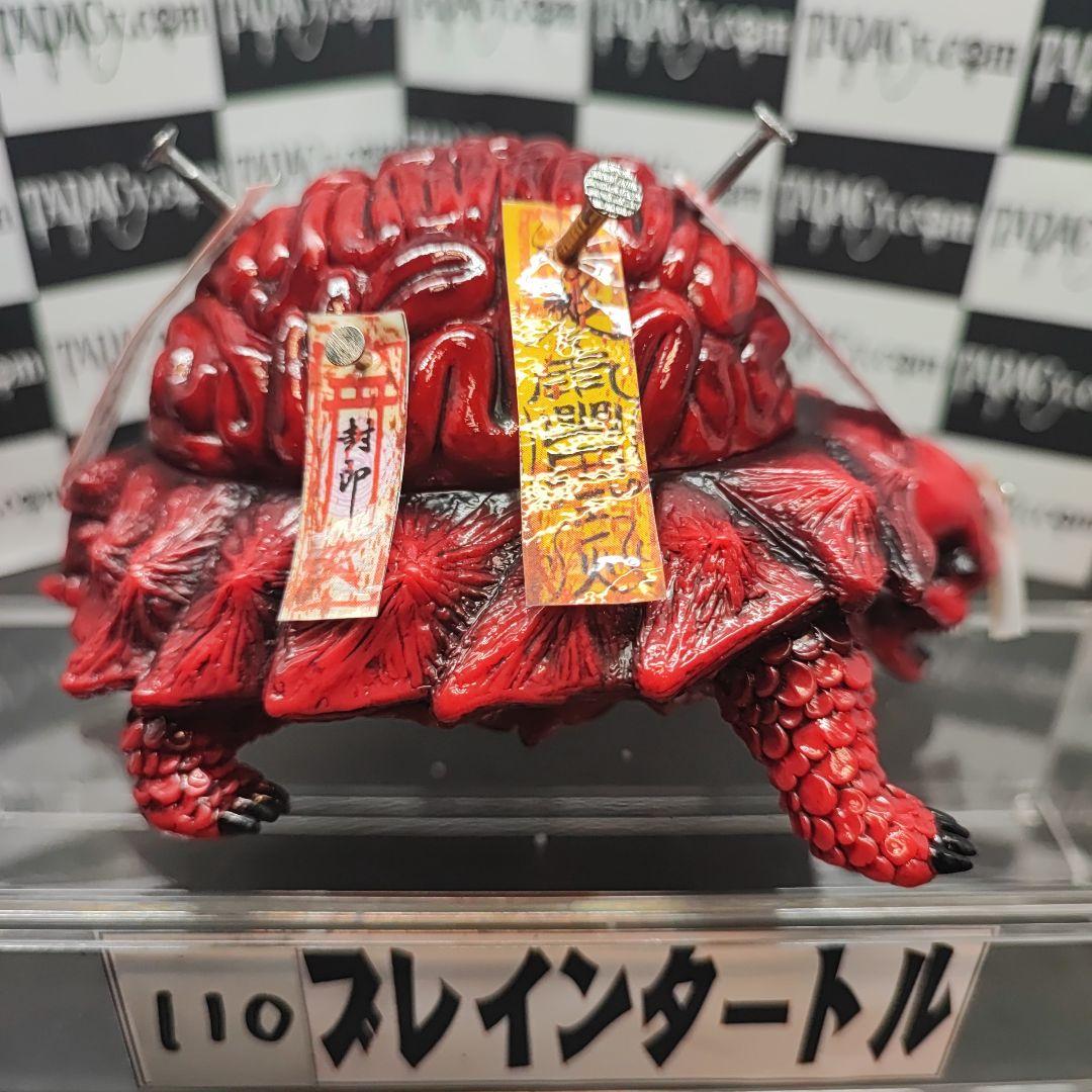 110ブレインタートル