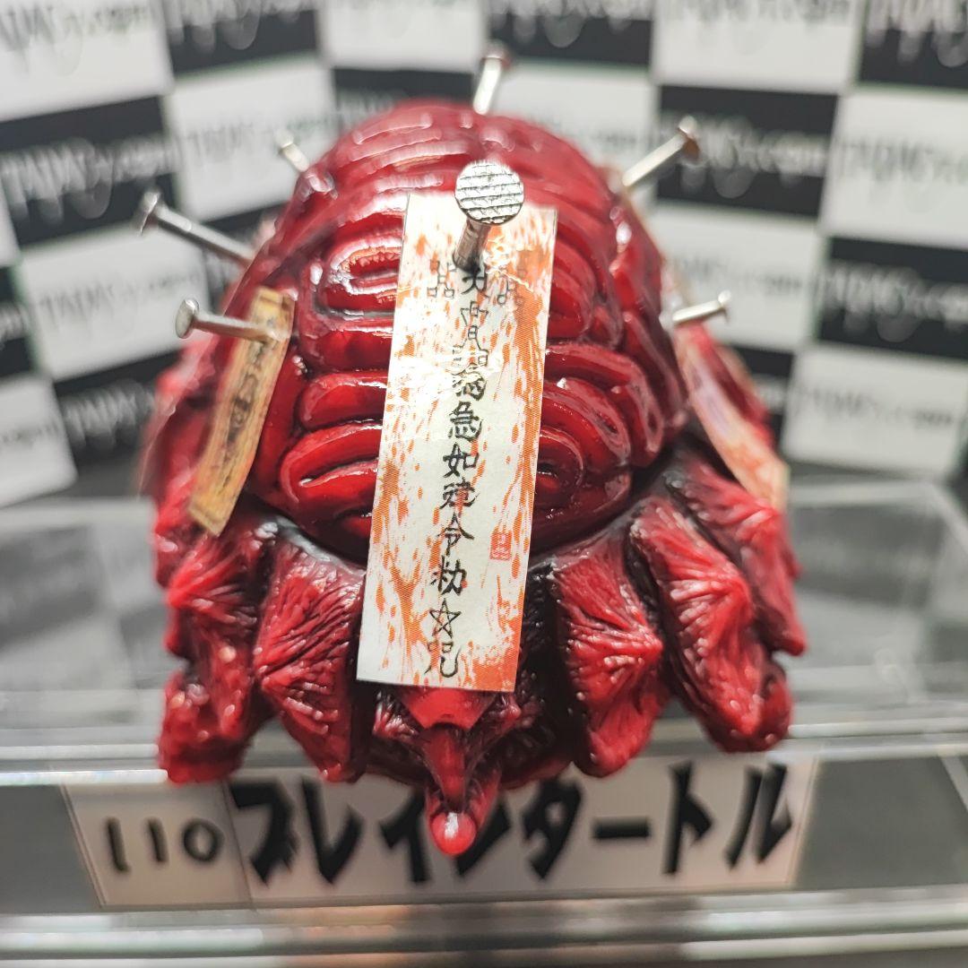 110ブレインタートル