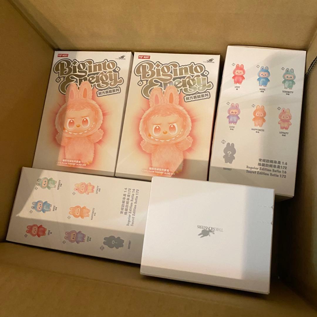 【確実正規品】 ラブブ BIG INTO ENERGY 5箱セット 新品未開封！