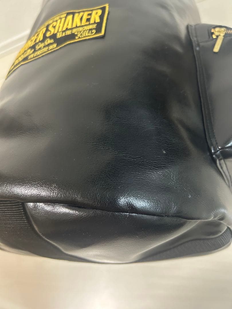 浅井健一SEXY STONES RECORDS ジンジャーバッグリュック