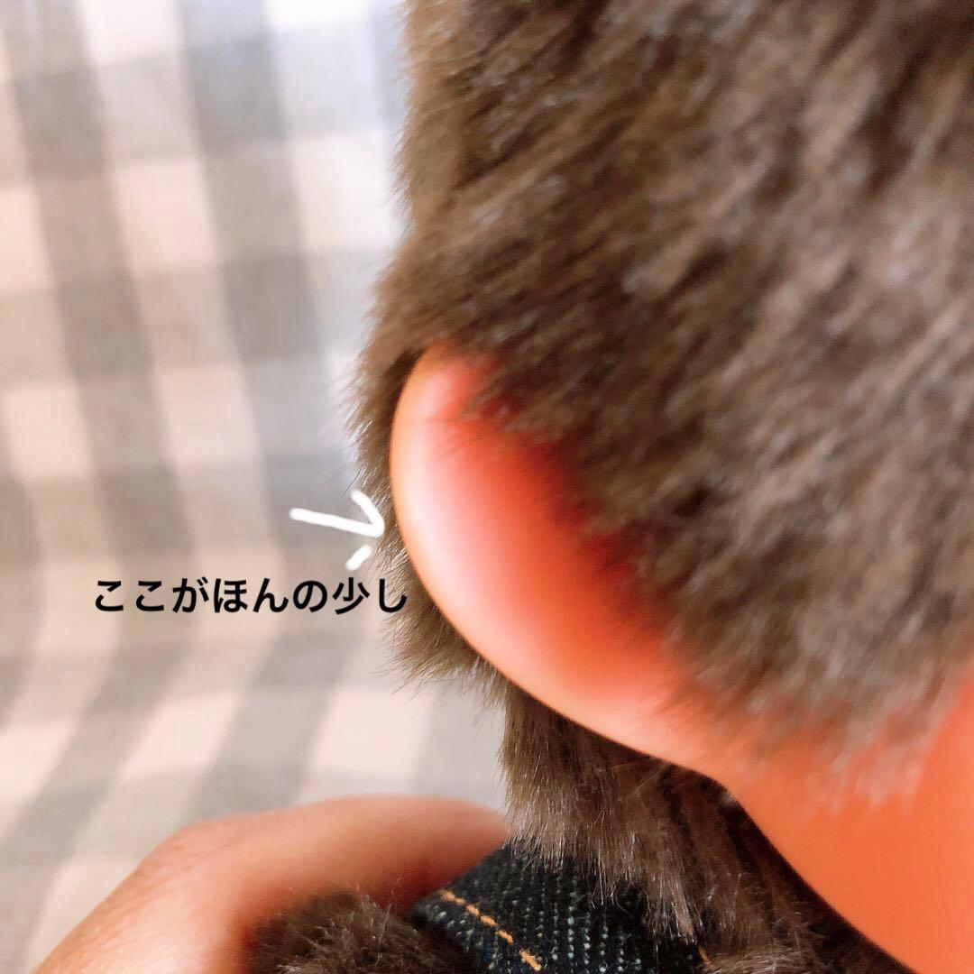 EDWIN × モンチッチ コラボ第一弾　M 女の子