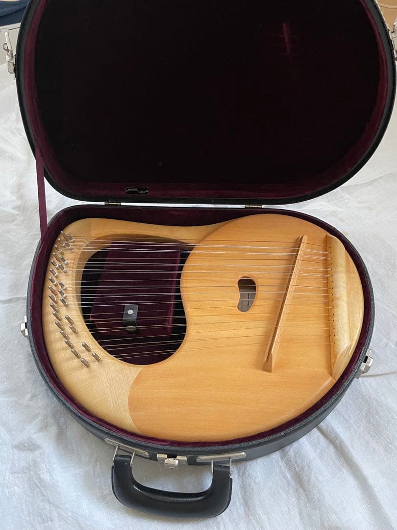 ザーレムライアー　SALEM 27弦